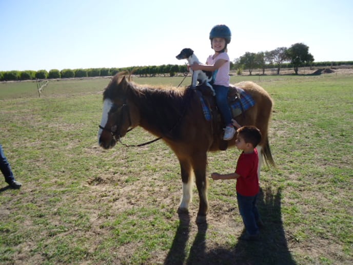 Gallery photo 2 of Party Ponies Yuma
