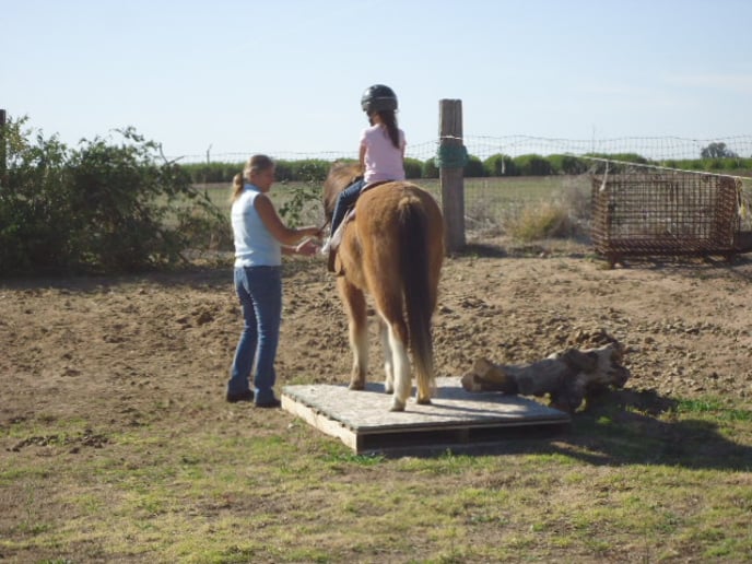 Gallery photo 3 of Party Ponies Yuma