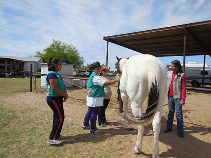 Gallery photo 4 of Party Ponies Yuma