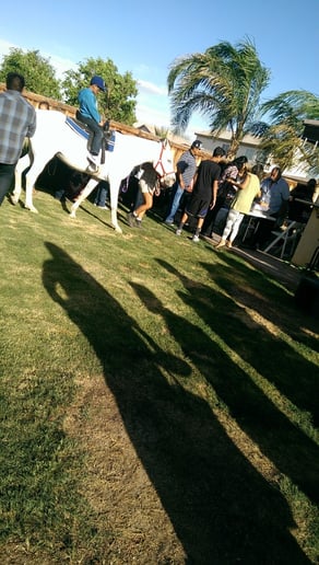 Gallery photo 5 of Party Ponies Yuma