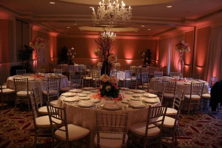 Gallery photo 9 of Party Specialists