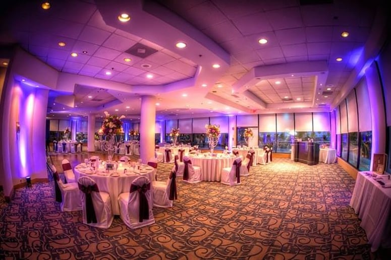 Gallery photo 6 of Party Specialists
