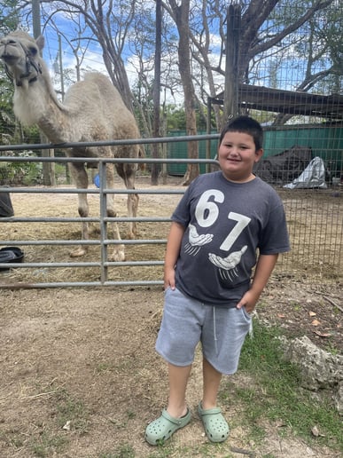 Gallery photo 2 of Party With Exotic Animals