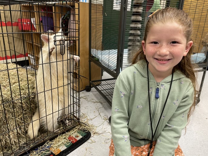 Gallery photo 5 of Party With Exotic Animals