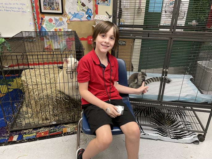Gallery photo 6 of Party With Exotic Animals