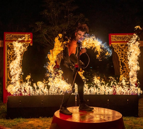 Gallery photo 3 of Passion Driven Fire Entertainment