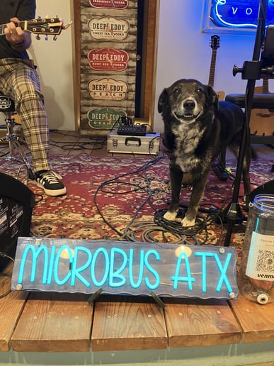 Gallery photo 4 of Microbus