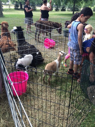 Gallery photo 1 of Patrick's Funny Farm