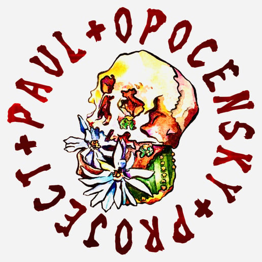 Gallery photo 3 of Paul Opocensky Project