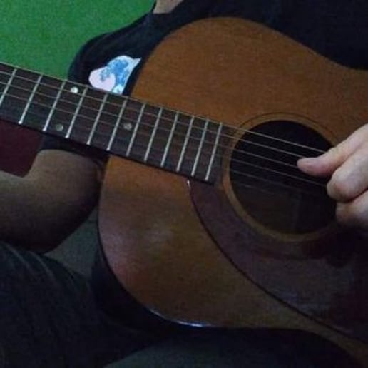 Gallery photo 9 of Paully the Acoustic Accountant