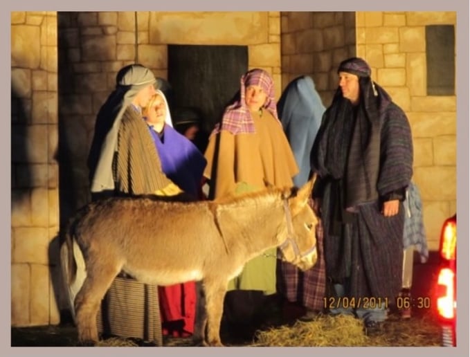 Gallery photo 4 of Peaceable Kingdom Petting Zoo
