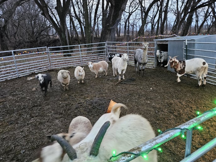 Gallery photo 1 of Peachy Farms inc