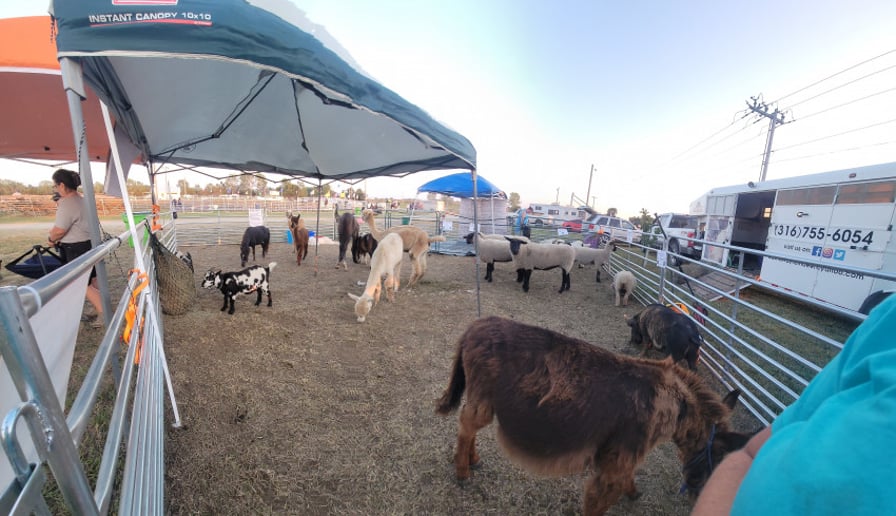 Gallery photo 2 of Peachy Farms inc