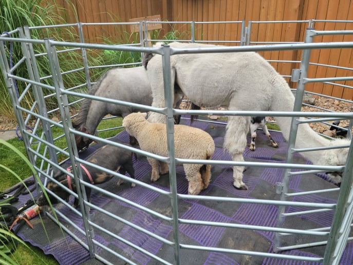 Gallery photo 3 of Peachy Farms inc
