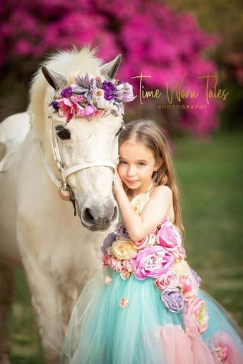 Gallery photo 1 of Pegasus Carriage Company