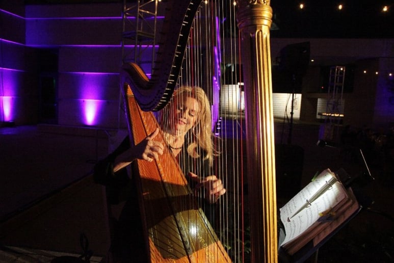 Gallery photo 1 of Peggy Skomal Harpist & Ensembles