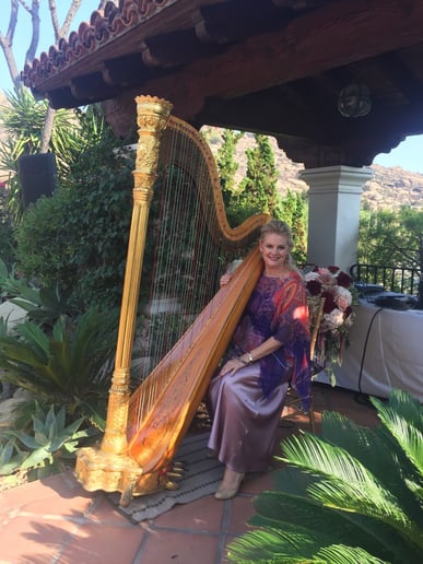 Gallery photo 2 of Peggy Skomal Harpist & Ensembles