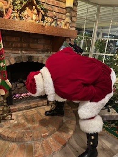 Gallery photo 1 of Pelican State Santa