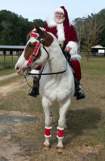 Gallery photo 1 of Pensacola's Santa