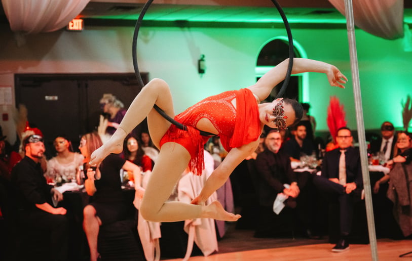 Gallery photo 1 of Peregrine Entertainment