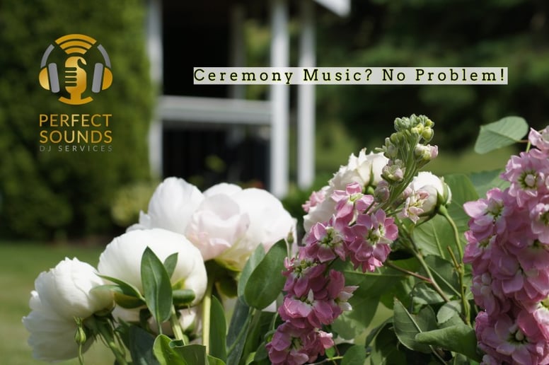 Gallery photo 3 of Perfect Sounds DJ Services