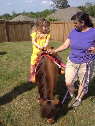 Gallery photo 8 of Perfectly Pettable Party Animals & Pony RIdes
