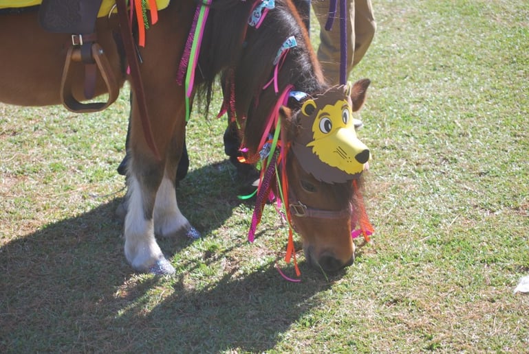 Gallery photo 9 of Perfectly Pettable Party Animals & Pony RIdes