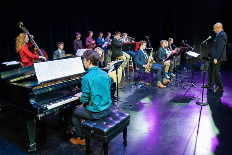 Gallery photo 2 of Performer / Accompanist / Teacher