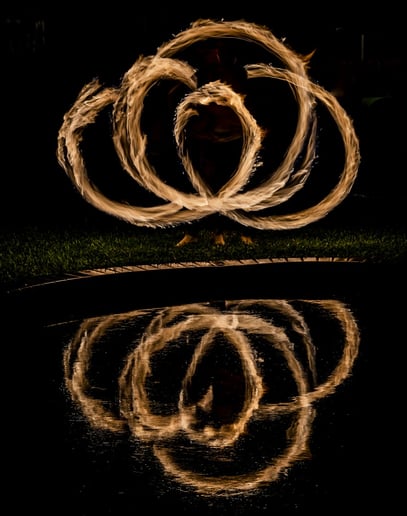 Gallery photo 10 of PermePhotography