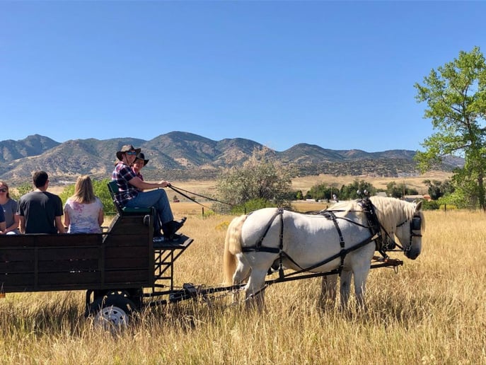 Gallery photo 2 of Perseverance Ranch Carriages and Wagons