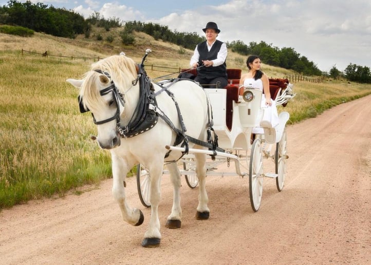 Gallery photo 4 of Perseverance Ranch Carriages and Wagons