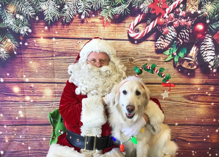 Gallery photo 6 of Personal Appearance by Santa Claus