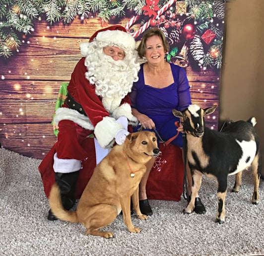 Gallery photo 8 of Personal Appearance by Santa Claus