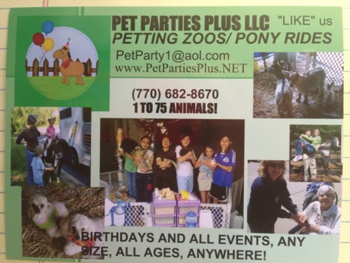 Gallery photo 19 of Pet Parties Plus, LLC