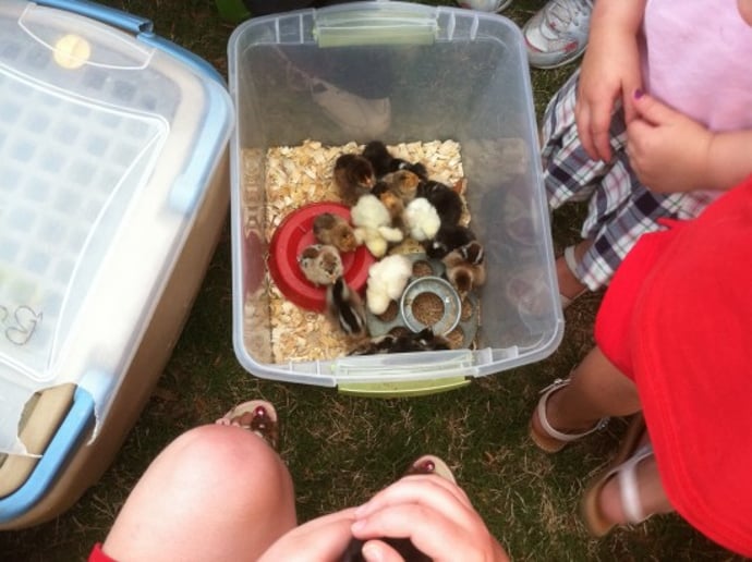 Gallery photo 6 of Pet Parties Plus, LLC