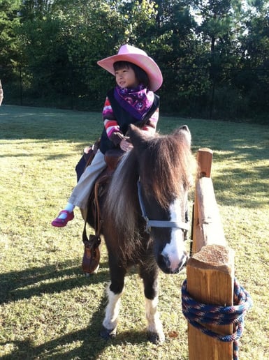 Gallery photo 7 of Pet Parties Plus, LLC