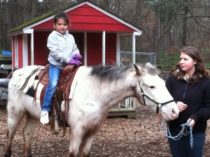 Gallery photo 8 of Pet Parties Plus, LLC