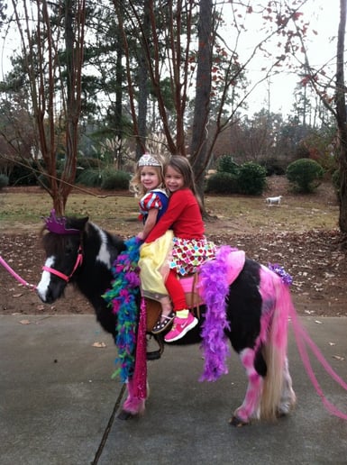 Gallery photo 12 of Pet Parties Plus, LLC
