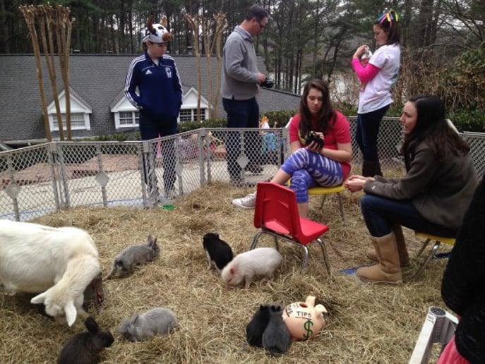 Gallery photo 15 of Pet Parties Plus, LLC