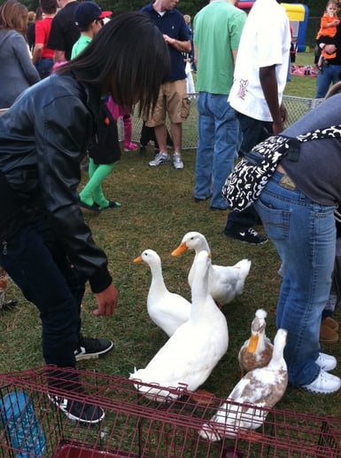 Gallery photo 16 of Pet Parties Plus, LLC