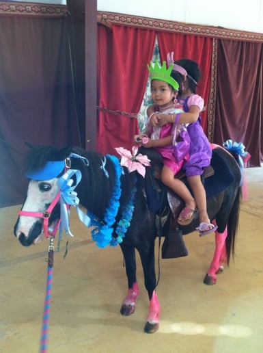 Gallery photo 17 of Pet Parties Plus, LLC
