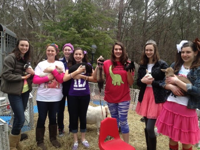 Gallery photo 22 of Pet Parties Plus, LLC
