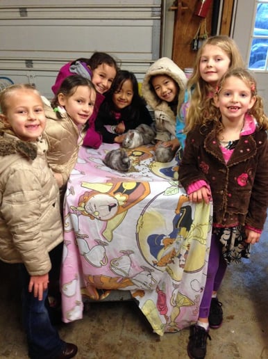Gallery photo 26 of Pet Parties Plus, LLC