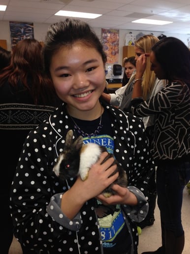 Gallery photo 29 of Pet Parties Plus, LLC