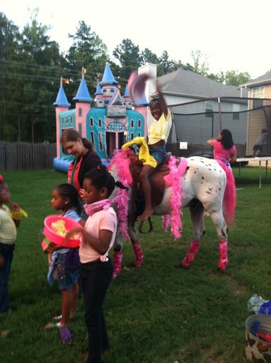Gallery photo 35 of Pet Parties Plus, LLC