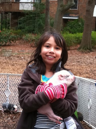 Gallery photo 38 of Pet Parties Plus, LLC