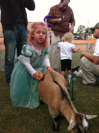 Gallery photo 42 of Pet Parties Plus, LLC
