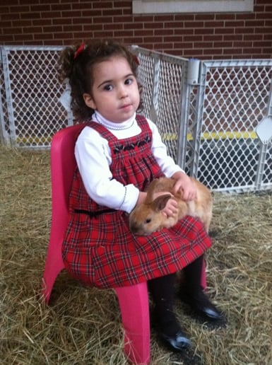 Gallery photo 43 of Pet Parties Plus, LLC