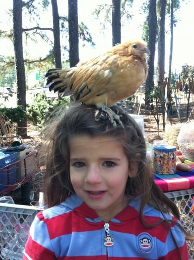 Gallery photo 46 of Pet Parties Plus, LLC