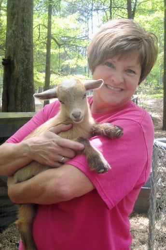 Gallery photo 48 of Pet Parties Plus, LLC